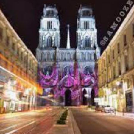 Ferienwohnung Chaleureux Appart, Proche De La Loire Avec Parking Orléans Exterior foto