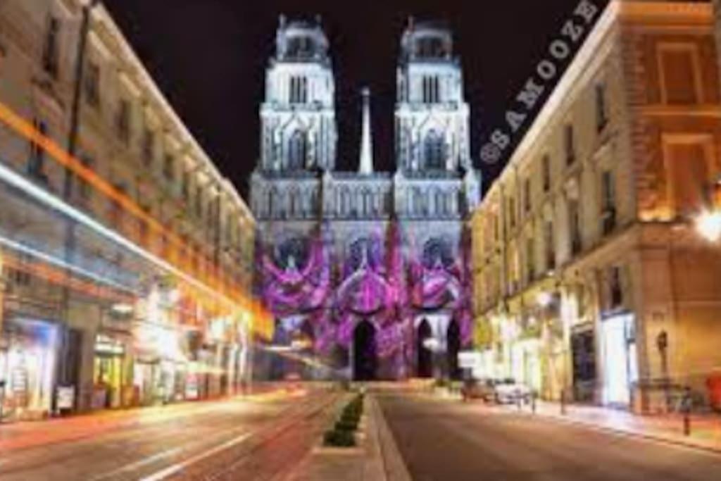 Ferienwohnung Chaleureux Appart, Proche De La Loire Avec Parking Orléans Exterior foto